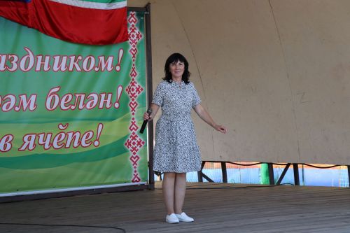 Дрожжановцы отметили Всероссийский день физкультурника