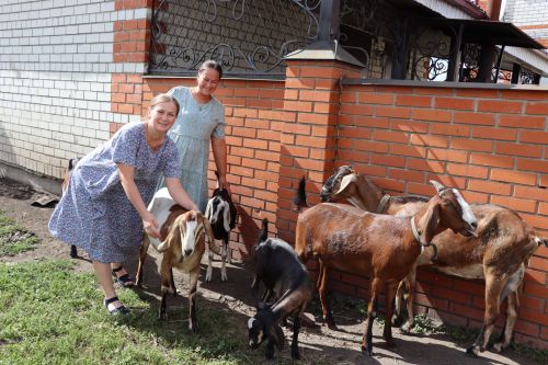 Чүпрәледә Түбән Чәке авылында яшәүче апалы-сеңелле Наталия һәм Надежда англо-нубий токымлы кәҗәләр үрчетә