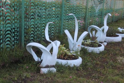 Җәүһәрия Баһаветдинова: «Уңышның сере — яратып үстерүдә»