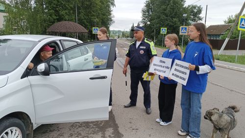 В Дрожжановском районе РТ прошла профилактическая акция по ПДД