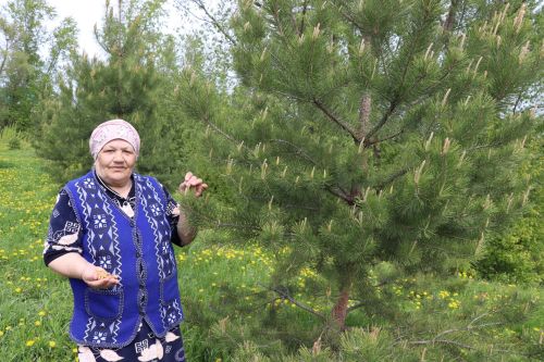 Тормыш сынауларында чыныккан