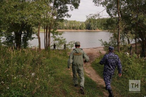 Границы охотничьих угодий Татарстана вносят в ЕГРН
