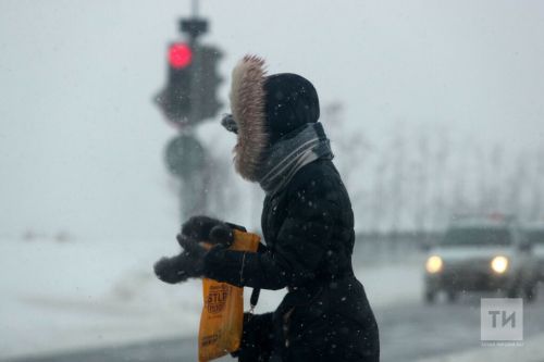 Погода в Дрожжановском районе на 29 декабря