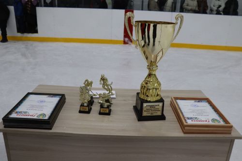 В Дрожжаном прошёл межрайонный турнир по хоккею с шайбой памяти Ильдара Халиуллова
