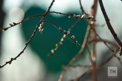 28 февраля — День ухода зимы: встречаем весну с радостью и традициями