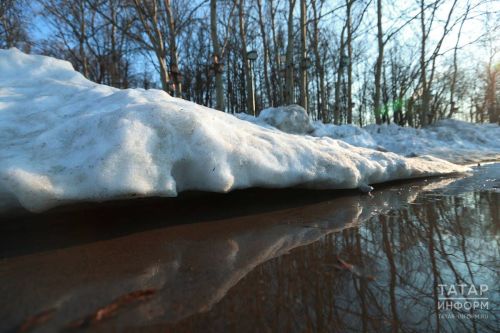 Погода в Дрожжановском районе