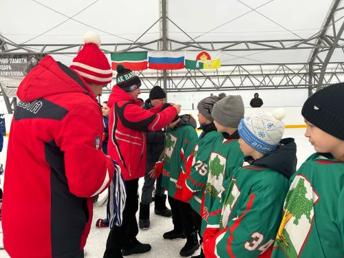 В Дрожжановском районе РТ прошел турнир по хоккею среди юношеских команд