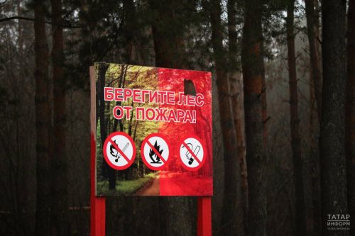 Штормовое предупреждение о высокой пожарной опасности лесов на территории Дрожжановского района РТ