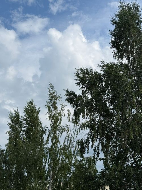 В Казани и Дрожжановском районе объявлено штормовое предупреждение