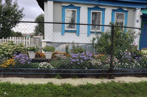 Егоровлар Ульяновск шәһәреннән кайтып, Чүпрәледә гөлбакча үстерә