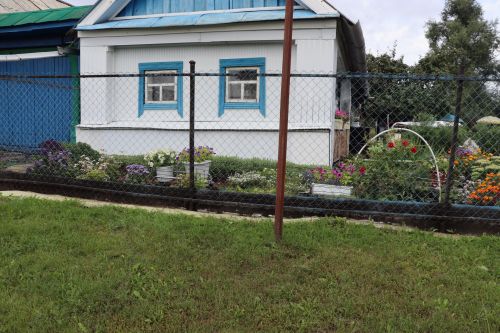 Егоровлар Ульяновск шәһәреннән кайтып, Чүпрәледә гөлбакча үстерә