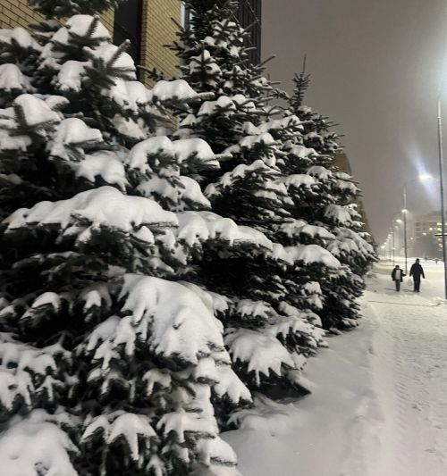 В начале января Татарстан ждут оттепель, метели и гололед