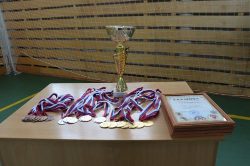 Турнир по волейболу среди пенсионеров памяти Дамира Алимова прошел в Дрожжановском районе