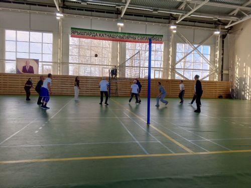 Турнир по волейболу среди пенсионеров памяти Дамира Алимова прошел в Дрожжановском районе