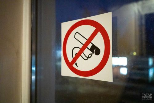 Комитет Госсовета РТ поддержал запрет продажи вейпов в республике
