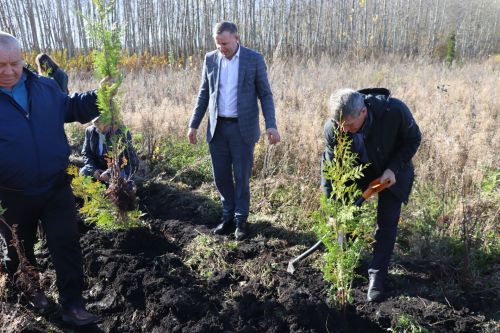 Главы сельских поселений Дрожжановского района посадили туи в рамках акции «Сохраним лес»