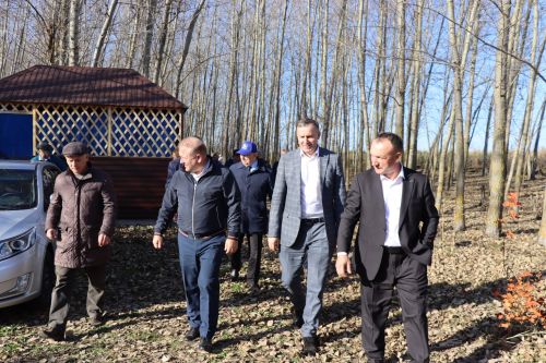 Главы сельских поселений Дрожжановского района посадили туи в рамках акции «Сохраним лес»