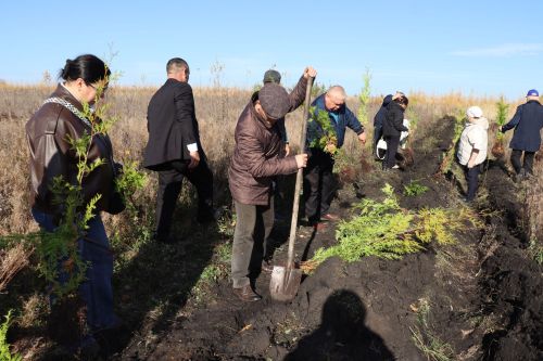 Главы сельских поселений Дрожжановского района посадили туи в рамках акции «Сохраним лес»