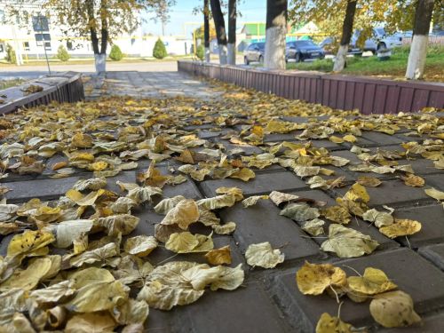 Сильный ветер и гололедица ожидаются в Татарстане