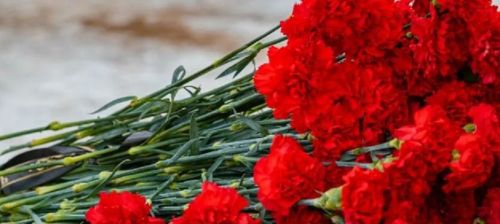 В Дрожжановском районе совет ветеранов боевых действий запустил акцию «Красная гвоздика»