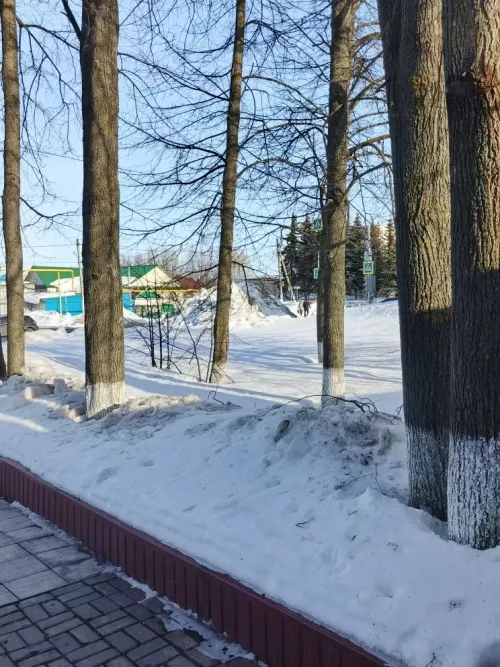Погода в Дрожжановском районе на 17 марта