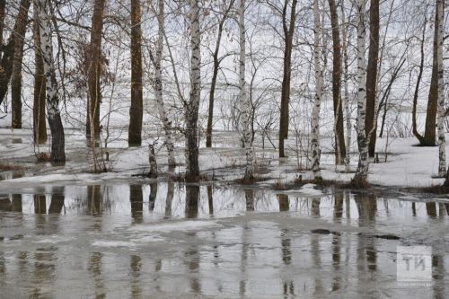 Погода в Дрожжановском районе на 26 марта