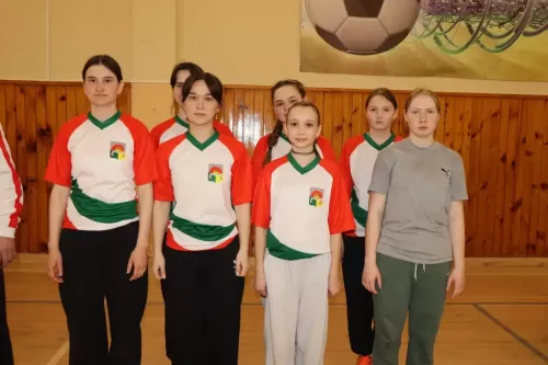 Девушки разыграли кубок главы поселения в Большеаксинской школе Дрожжановского района