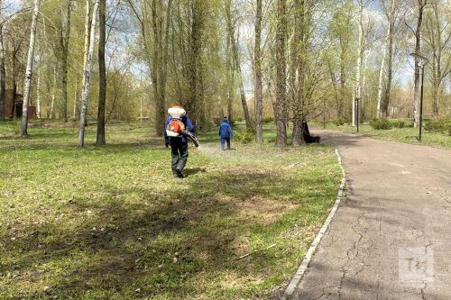 «Клещи не дремлют»: в Татарстане уже зафиксированы первые укусы