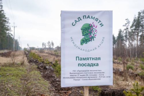 В Татарстане с 25 апреля по 2 мая пройдёт акция «Сад памяти»