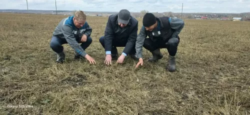 В Дрожжановском районе аграрии приступили к подкормке многолетних трав
