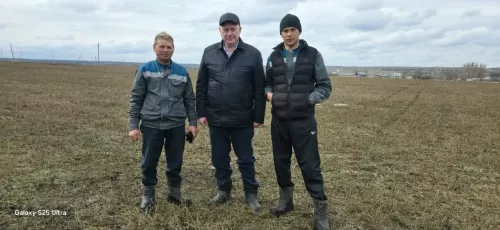 В Дрожжановском районе аграрии приступили к подкормке многолетних трав
