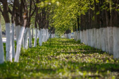 Жара до +32 градусов и сухая погода установятся в Татарстане на выходных и в начале недели