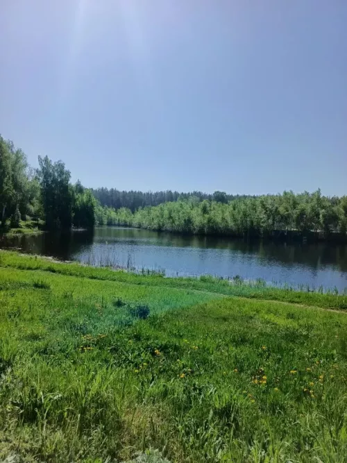 Погода в Дрожжановском районе на 21 мая