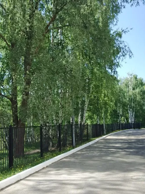 Погода в Дрожжановском районе на 9 июня