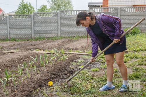 Июль в огороде: ловим окно возможностей для второго урожая