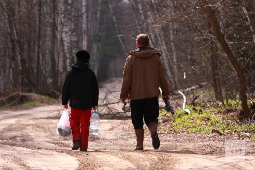 От укусов клещей в Татарстане пострадали почти 6 тысяч человек, у троих выявлен энцефалит