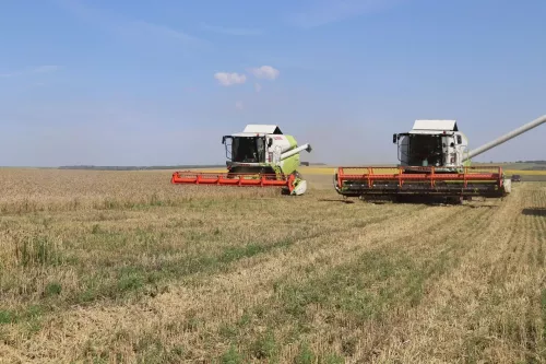 В Дрожжановском районе  началась уборочная страда