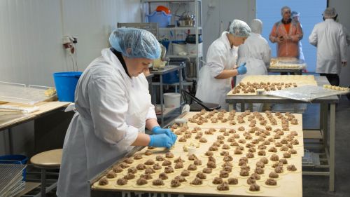 Стартовал приём заявок на гранты для начинающих сельхозкооперативов в Татарстане