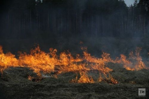 Жара может повысить класс пожарной опасности в Татарстане