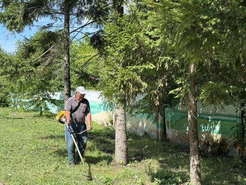 Какие штрафы грозят дрожжановцам за нарушения правил благоустройства