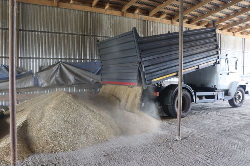 Телейӗсене тӑван ҫӗр ҫинче тупнӑ