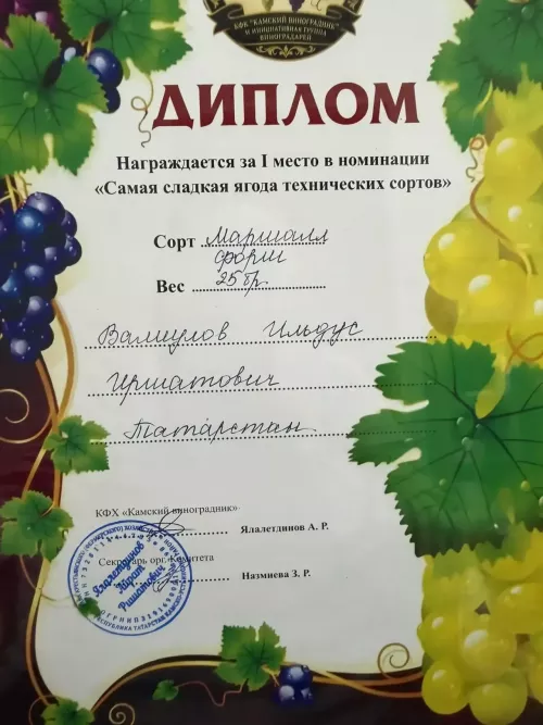 Дрожжановский виноградник стал победителем региональной выставки