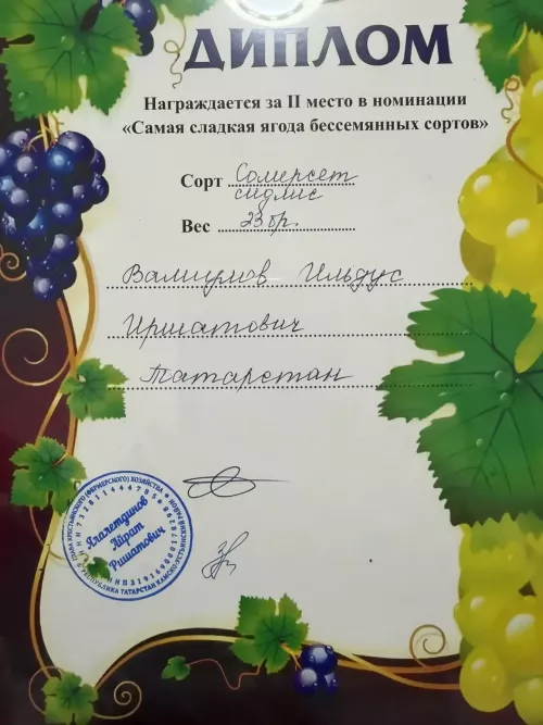 Дрожжановский виноградник стал победителем региональной выставки