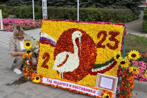 Ярмарка мёда, фестиваль цветов, День образования Дрожжановского района -2023