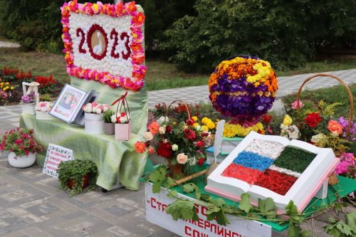 Ярмарка мёда, фестиваль цветов, День образования Дрожжановского района -2023