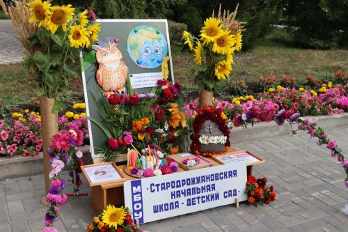 Ярмарка мёда, фестиваль цветов, День образования Дрожжановского района -2023
