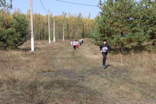 «Кросс Татарстана— 2023» в Дрожжановском районе РТ