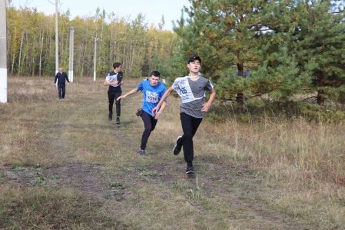 «Кросс Татарстана— 2023» в Дрожжановском районе РТ