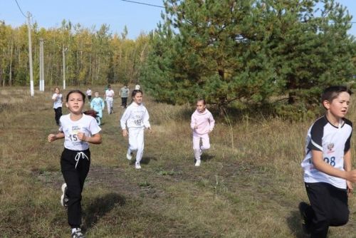 «Кросс Татарстана— 2023» в Дрожжановском районе РТ