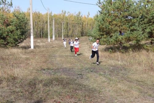 «Кросс Татарстана— 2023» в Дрожжановском районе РТ